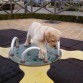 en el parque
