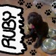 Esta es una foto mia mejorada en la super camara DsI, "Tengo Hambre"