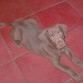 Chocolate al Cumplir dos meses