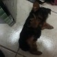 Jugando......