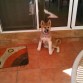 ELLA POSANDO