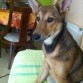 Deysi con un añito !!