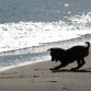 En la playa peleando con las olas.