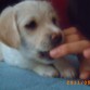 Miradlo como muerde! U.u