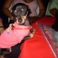 ♥♥♥Roxy♥♥♥