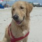 En mi primer viaje a la playa. Tenía 6 meses