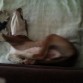 Asi duerme el señor.