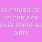 muy cierto 