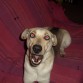 me aburres con tanta foto!!!