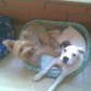 chiky y nala compartiendo cama 