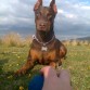 Hipnotizada por su pelota. jajaja