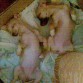 uuuuhh zzzzzzz... durmiendooo...