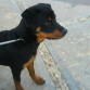 5 meses como la ven