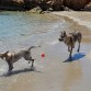 Día de playa