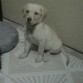 Cumpliendo 3 meses, cada vez soy mas guapo ;)