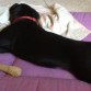 Estirandose un poco....mientras duerme 