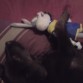 Teno Sueño  ji ji ji ji ji