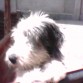 Laila enseñando su cara