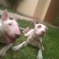 Jäger y su mejor amigo Kia.