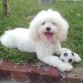 Jugando con su pelota!