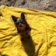 En la playa después de un chapuzón.