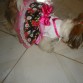 modelando su vestido   new