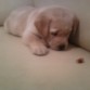 observando su huesito