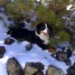 Nieve!