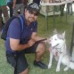 En la muestra canina de Queretaro en Mayo