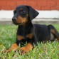 21 de abril 2011