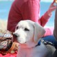 Su primer día de playa