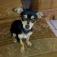 Chiquita linda