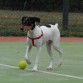 Coco con su pelota ^^