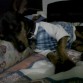 ZzZzzz