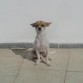 Me gusta mucho coger sol!!