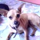 Chikis acostadita en mi cama siendo un año mayor que su hermana Susy
