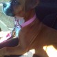Es mi reina, la cachorra + linda del mundo!