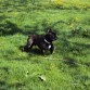 Eric en el parque