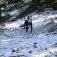 Onix conociendo la nieve!! :D