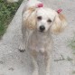 mi hermoza kelly
