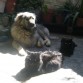 Y aca esta con mis 2 gatos (Nesus y Becker)