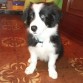 Wifi con 2 meses