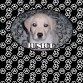JUNIOR DE CACHORRIN