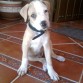 2 meses