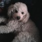 mi bebe!