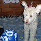 Jugando con mi balon...