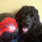 Q TIERNA CORAZON...