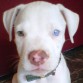 soy hermoso :)
