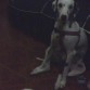 Se busca  parejita   ( Desea ser madre prontoo! )
