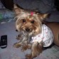 soyy sophie!!!!!!!!! y me encanta mi familia